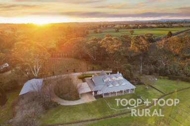 Farm Sold - SA - Krondorf - 5352 - Barossa Classic  (Image 2)