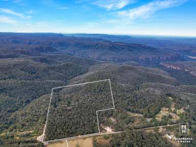 Farm For Sale - NSW - Bundanoon - 2578 - 'Eastview'  - Heavenly  (Image 2)