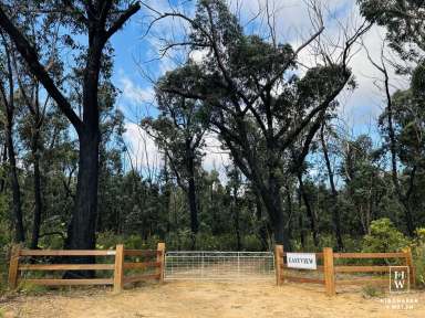 Farm For Sale - NSW - Bundanoon - 2578 - 'Eastview'  - Heavenly  (Image 2)