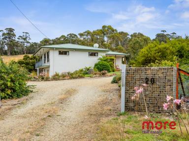 Farm For Sale - TAS - North Bruny - 7150 - Island dreaming in paradise  (Image 2)