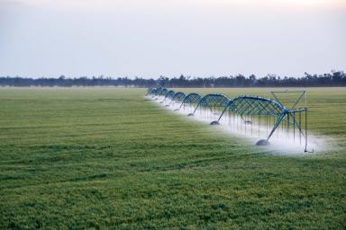 Farm For Sale - QLD - Toobeah - 4498 - LARGE-SCALE IRRIGATED AND DRYLAND CROPPING  (Image 2)