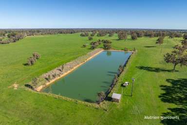 Farm For Sale - WA - Meelon - 6208 - 'Large holding in great location'  (Image 2)