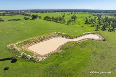 Farm For Sale - WA - Meelon - 6208 - 'Large holding in great location'  (Image 2)