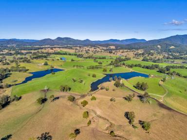 Farm For Sale - NSW - Buckra Bendinni - 2449 - Highly Sought-After Opportunity  (Image 2)