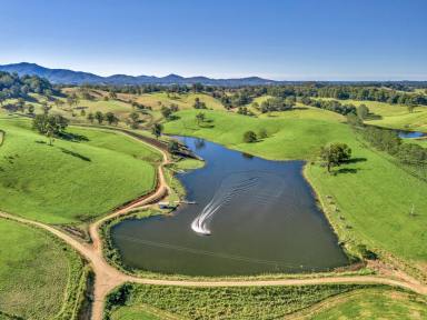 Farm For Sale - NSW - Buckra Bendinni - 2449 - Highly Sought-After Opportunity  (Image 2)