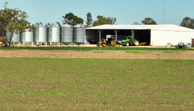 Farm For Sale - NSW - Boomi - 2405 - MacIntyre Valley  Irrigation and Dryland  Cropping.  (Image 2)