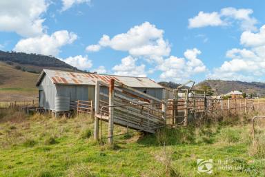 Farm For Sale - NSW - Mudgee - 2850 - PERFECT RETREAT PROPERTY!  (Image 2)