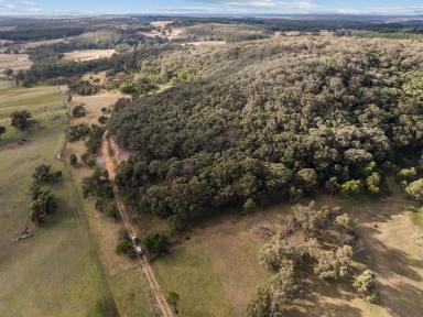 Farm For Sale - NSW - Marulan - 2579 - RURAL ESCAPE  (Image 2)