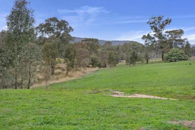 Farm For Sale - VIC - Baringhup - 3463 - DENNING RISE  (Image 2)