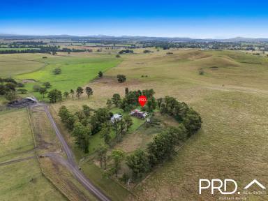 Farm For Sale - NSW - Casino - 2470 - Country Comfort  (Image 2)