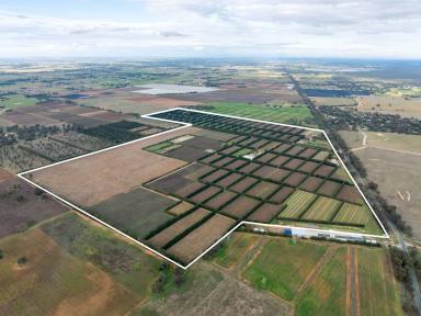 Farm For Sale - VIC - Bunbartha - 3634 - SECURLY LEASED KIWIFRUIT INVESTMENT OPPORTUNITY  (Image 2)