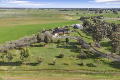 Farm For Sale - VIC - Rochester - 3561 - SPACIOUS COUNTRY MANOR ON 81 ACRES  (Image 2)