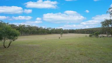 Farm For Sale - VIC - Beaufort - 3373 - Tranquil 20 Acres with Planning Permit  (Image 2)