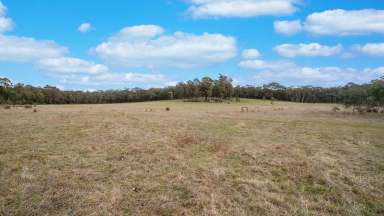 Farm For Sale - VIC - Beaufort - 3373 - Tranquil 20 Acres with Planning Permit  (Image 2)