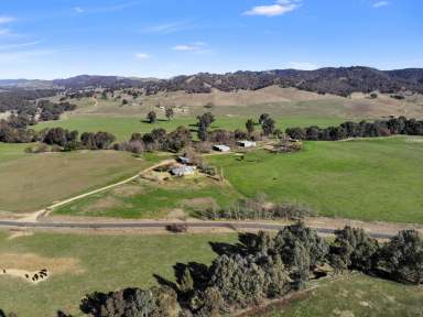 Farm For Sale - NSW - Tarcutta - 2652 - "Oberne"  (Image 2)