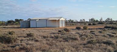 Farm For Sale - SA - Stirling North - 5710 - Bore, Shed, Tanks & Views  (Image 2)