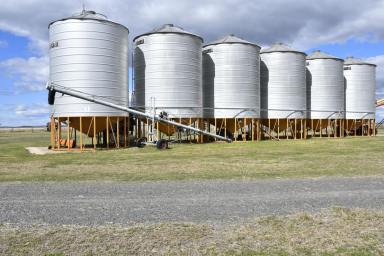 Farm For Sale - QLD - Formartin - 4404 - "Karinya" Inner Darling Downs Cattle or Cropping Opportunity!  (Image 2)