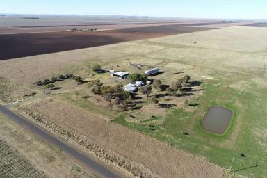 Farm For Sale - QLD - Formartin - 4404 - "Karinya" Inner Darling Downs Cattle or Cropping Opportunity!  (Image 2)