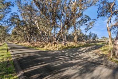 Farm For Sale - VIC - Faraday - 3451 - Prime Agricultural and Lifestyle Opportunity in Faraday, Victoria  (Image 2)