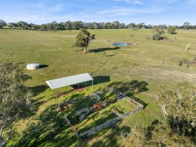 Farm For Sale - VIC - Faraday - 3451 - Prime Agricultural and Lifestyle Opportunity in Faraday, Victoria  (Image 2)