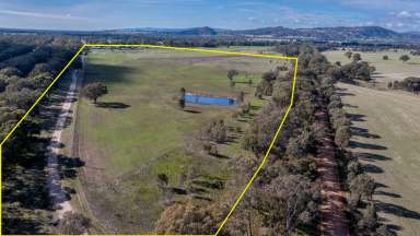 Farm For Sale - VIC - Creightons Creek - 3666 - Impressive Equine Property with 12 Meg water right  (Image 2)