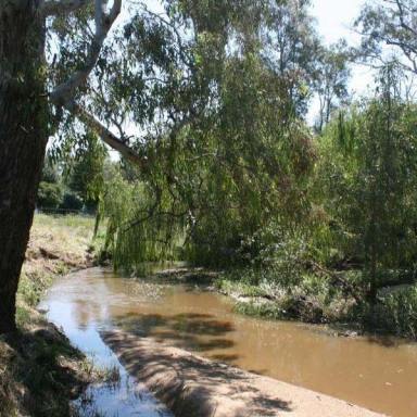 Farm For Sale - VIC - Creightons Creek - 3666 - 98 Acres-Creighton Creek Frontage with 12 Meg water right  (Image 2)