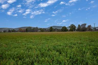 Farm For Sale - NSW - Wellington - 2820 - 9 ACRE LIFESTYLE PROPERTY  (Image 2)