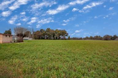 Farm For Sale - NSW - Wellington - 2820 - 9 ACRE LIFESTYLE PROPERTY  (Image 2)