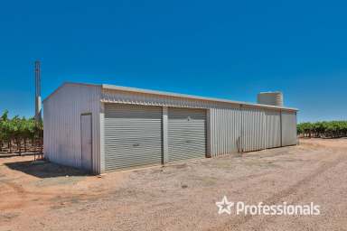 Farm For Sale - VIC - Merbein - 3505 - Fresh Fruit Property in South Merbein  (Image 2)