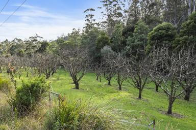 Farm For Sale - TAS - Nubeena - 7184 - Prime Land Opportunity: 5.1 Acres of Natural Beauty and a Winter Creek  (Image 2)