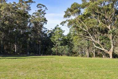 Farm For Sale - TAS - Nubeena - 7184 - Prime Land Opportunity: 5.1 Acres of Natural Beauty and a Winter Creek  (Image 2)