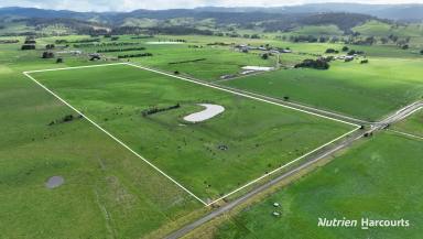 Farm For Sale - VIC - Jack River - 3971 - 133 Acre Prime Jack River Country  (Image 2)