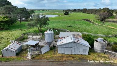 Farm For Sale - VIC - Jack River - 3971 - 133 Acre Prime Jack River Country  (Image 2)