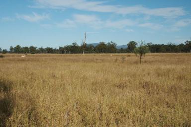 Farm For Sale - QLD - Bauhinia - 4718 - A Highly Productive Vertically Integrated Beef Production Portfolio!  (Image 2)