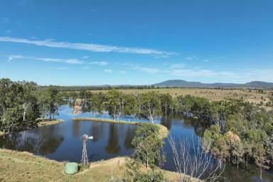 Farm For Sale - QLD - Bauhinia - 4718 - A Highly Productive Vertically Integrated Beef Production Portfolio!  (Image 2)