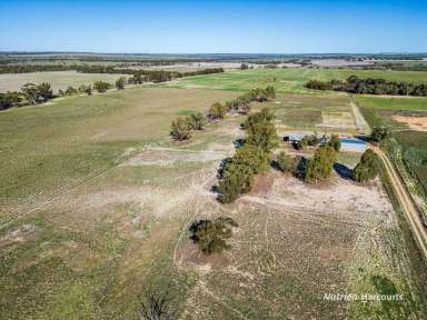 Farm Sold - WA - Tammin - 6409 - UNDER OFFER - Unique Rural Opportunity in Tammin, WA  (Image 2)