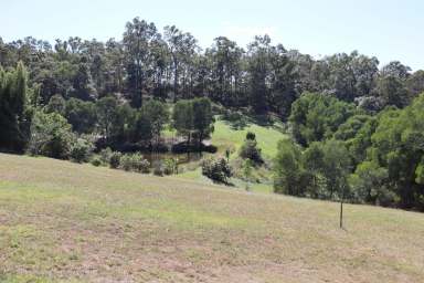 Farm For Sale - QLD - Chatsworth - 4570 - PRIVATE AND PERFECT  (Image 2)