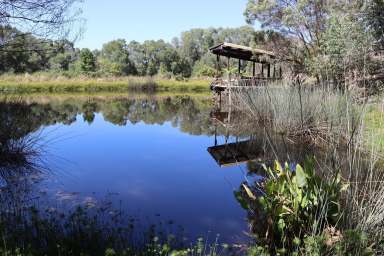 Farm For Sale - QLD - Chatsworth - 4570 - PRIVATE AND PERFECT  (Image 2)