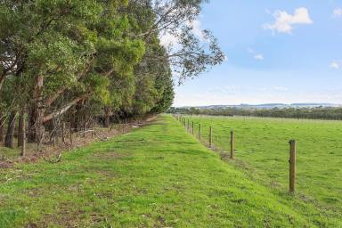 Farm For Sale - VIC - Scotts Creek - 3267 - QUALITY SCOTTS CREEK COUNTRY  (Image 2)