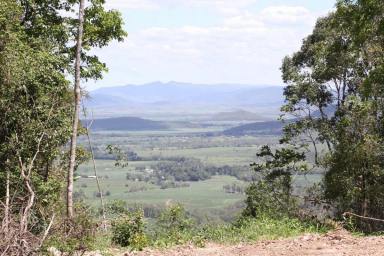 Farm For Sale - QLD - Mount Charlton - 4741 - 228 Acres private bushland at Kungurri  (Image 2)