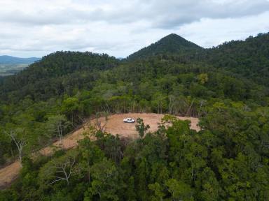 Farm For Sale - QLD - Mount Charlton - 4741 - 228 Acres private bushland at Kungurri  (Image 2)