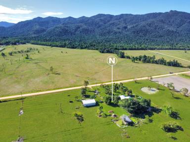 Farm For Sale - QLD - Jarra Creek - 4854 - Escape the Ordinary: 100 Acres of Paradise Awaits!  (Image 2)