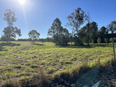 Farm For Sale - QLD - Glenwood - 4570 - LIFESTYLE ACREAGE  (Image 2)