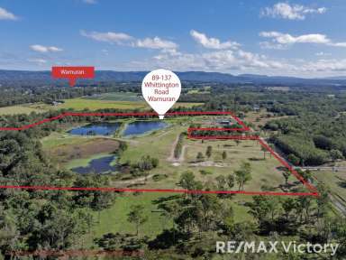 Farm For Sale - QLD - Wamuran - 4512 - Hidden Paradise - Prime Location - Incorporating Lifestyle & Business - 51.74 Acres Wamuran!  (Image 2)