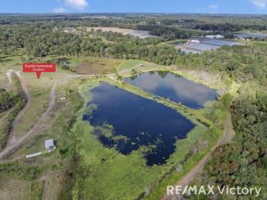 Farm For Sale - QLD - Wamuran - 4512 - Hidden Paradise - Prime Location - Incorporating Lifestyle & Business - 51.74 Acres Wamuran!  (Image 2)