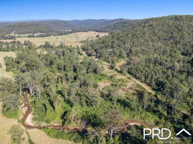 Farm For Sale - NSW - Upper Mongogarie - 2470 - 240+ Acres of Possibilities  (Image 2)