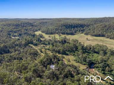 Farm For Sale - NSW - Upper Mongogarie - 2470 - 240+ Acres of Possibilities  (Image 2)