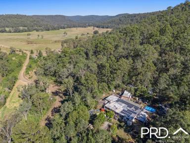 Farm For Sale - NSW - Upper Mongogarie - 2470 - 240+ Acres of Possibilities  (Image 2)