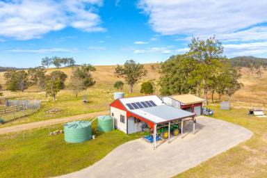 Farm For Sale - NSW - Wherrol Flat - 2429 - Time to Stop Dreaming!!  (Image 2)