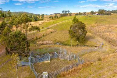 Farm For Sale - NSW - Wherrol Flat - 2429 - Time to Stop Dreaming!!  (Image 2)